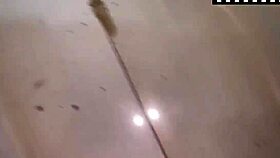 pov passionate sex with young 18+ bride big ass babe natural tits cute amateurs sexy tits and lots of cum