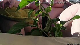 Watering Plants Naked On Balcony, Big Natural Tits Exposed For Viewers!