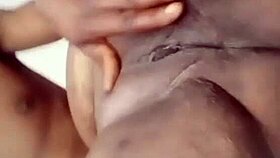 nigarchrist shares her latest petal update