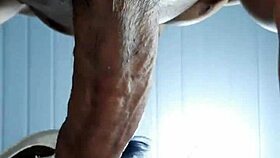 cock in my tight throat