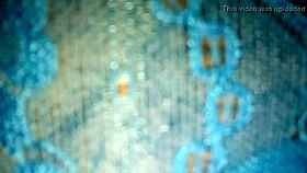 my wife's blue leggings in the first part, featuring panties