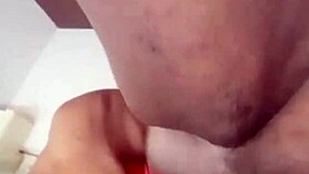 nigarchrist shares her latest petal update