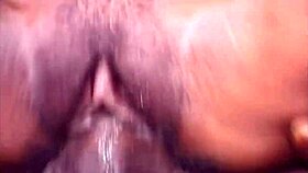 can you handle negras paradyse's ass with that monster cock?