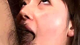 azusa nagasawa's fat hooters and bj make you cum fast