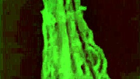 Do you want to see me masturbate?