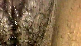 My wet ebony pussy plays with toys and vibrator.