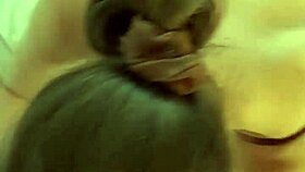 french amateur in satin lingerie gives blowjob and gets pussy pounded