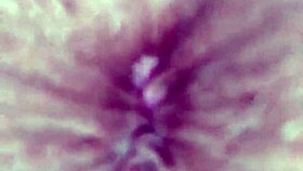 Gozando Pro Cuzinho Aberto Da Moreninha Novinha Gostosa E Putinha