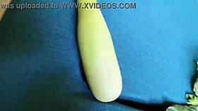 देवर ने अपनी भाभी की चूत में खीरा डालते हुए देख लिया