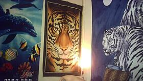 Newbie bombshell tests pound machine backstage