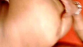 what's in sundaydogood614's update 241 on jun 13 2024?