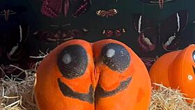 Teen Gets Double Creampie In Pumpkin Patch During Horny Doggystyle Fuck