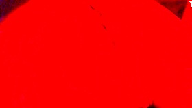 Hey, I'm face down fucking this transman's pussy in a close-up view