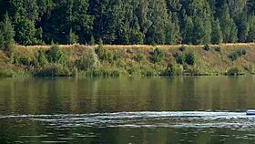 I flash my small tits in pink micro bikini at the beach, oops