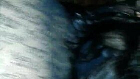 Ass shaking amateurs dive into muff for anal fun