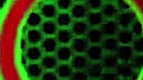 hairy pussy jelena jensen plays with big boobs