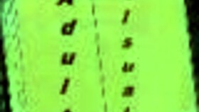 Harem Hotel 331 Game Adventure