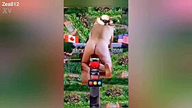 Zea812 Update 225 From July 08 2025