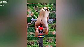 Zea812 Update 225 From July 08 2025