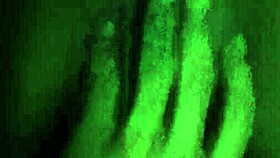 He Doesnt Want To Get Caught Playing With His Ass?