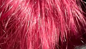 emo fan got used like she wanted so bad