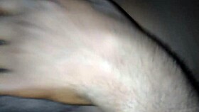 queen lady twerk means she wants this bbc