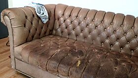 scarlett johnson moans fuck my big ass rough in anal casting interview