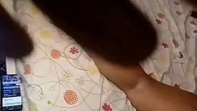 nigarchrist - update 1406 - petal 20250613 152401 - jun 13 2025