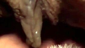 morning after laughs in everyday life 😄