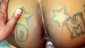 casual compilation of fucking basketball players