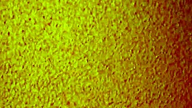 cheap asian mature hooker offering homemade creampie in missionary position