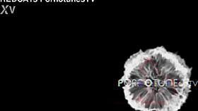 Can You Get Pregnant Without Sex? Vol 2