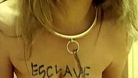 Auto session with belt and wc clean on 2024 12 11