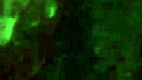 I Love Fucking My Pussy With Dildo