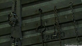 Can A Shemale Dominate A Big Cock Guy In The Dungeon?