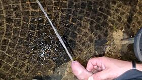 compilation of a big italian cock pissing in public and at home, in mouth slut - golden showers - watch and enjoy.