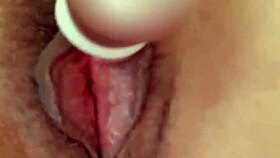 just got home from work in fishnets, ready to tease my pussy with toys?