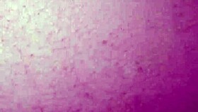 black bull vs ravishing ray in the car with big cock creampie