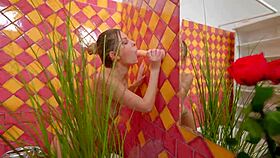 anal dildo solo in bathroom 😍