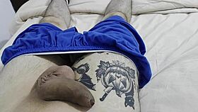 um penis descansando - a resting cock