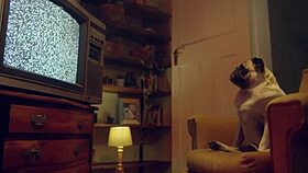 Fantasie And Emily Pink Explore Wild Lesbian Fantasies In Action Benefit Monkey