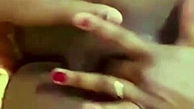 update on petal project from jun 01 2025