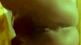 update on petal project from jun 01 2025