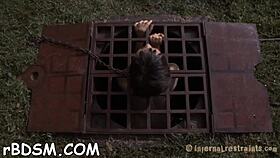 Free Sadomasochism Sex Stories