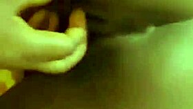 update on petal project from jun 01 2025