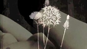 A Trip to the Seaside