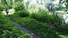 Two girls pee golden rain by the road