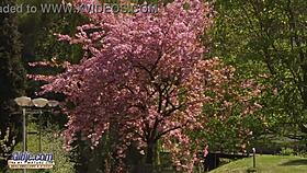 sexy teen seduces old man and swallows cum