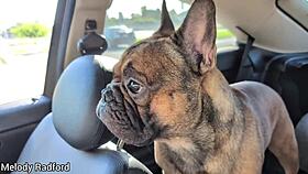 Intense gold coast holiday vlog with beautiful beaches