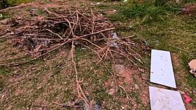 velma gets multiple creampies from bbc for halloween 🎃💦